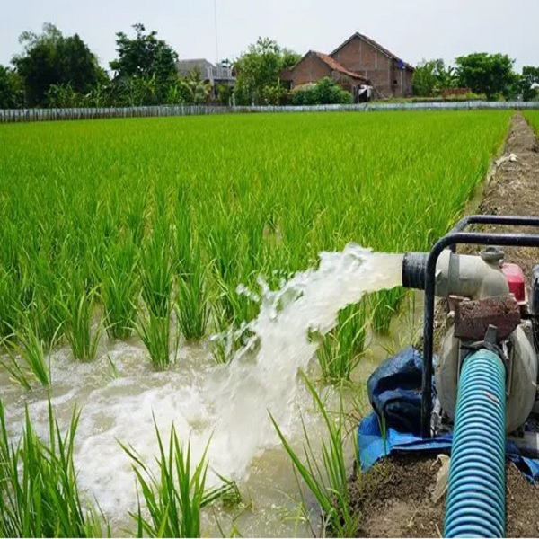 اهمیت تصفیه آب در کشاورزی